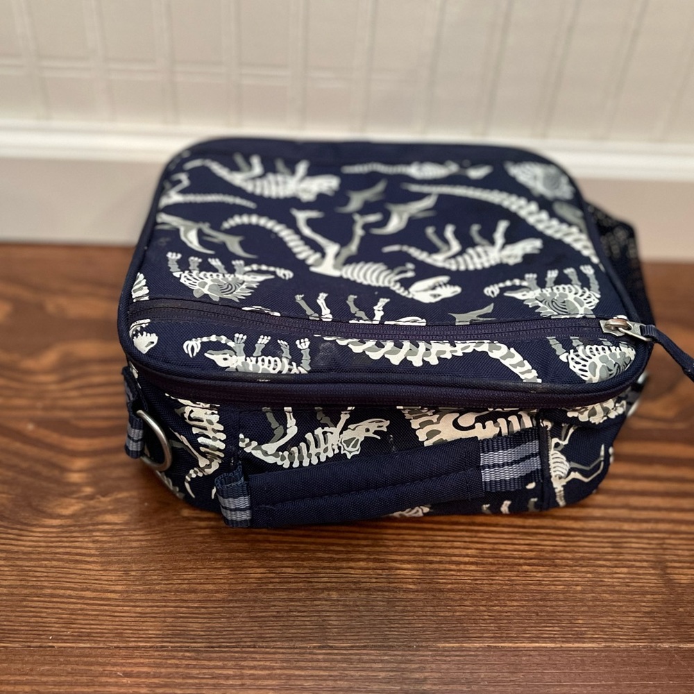 Pottery Barn kids Lunch Box- glow in the dark Dino